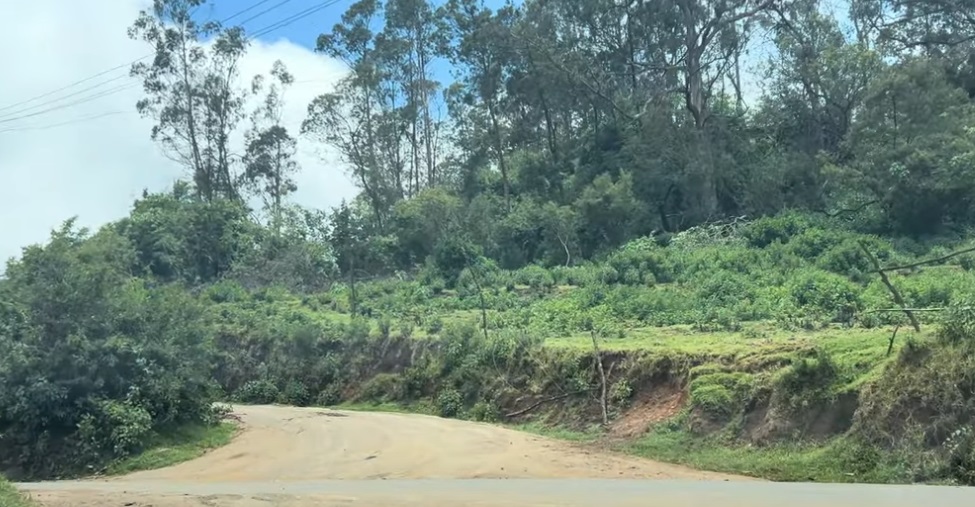 Mudumalai Tiger Reserve