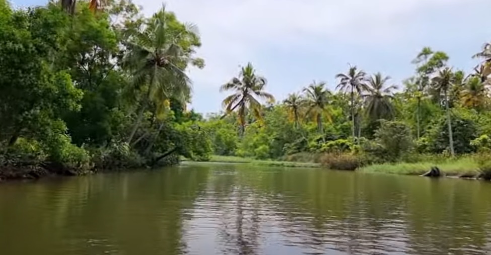 Poovar Lake